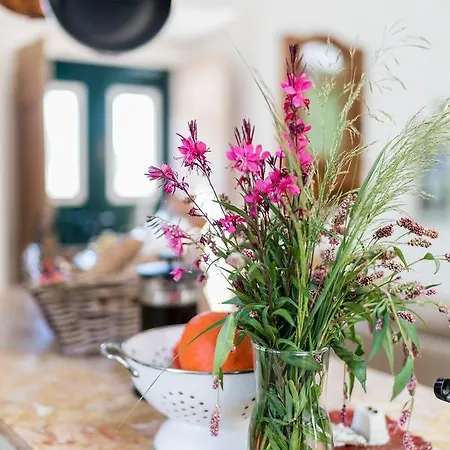 Blossom Terrace Apartment